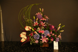 Foto: Dr. Jörg M. Giffei